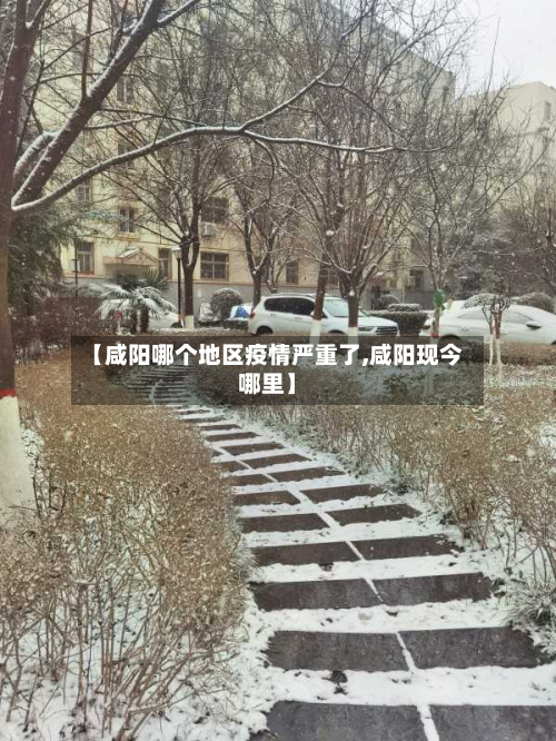 【咸阳哪个地区疫情严重了,咸阳现今哪里】-第2张图片