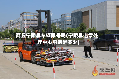 商丘宁陵县车辆限号吗(宁陵县违章处理中心电话是多少)-第3张图片