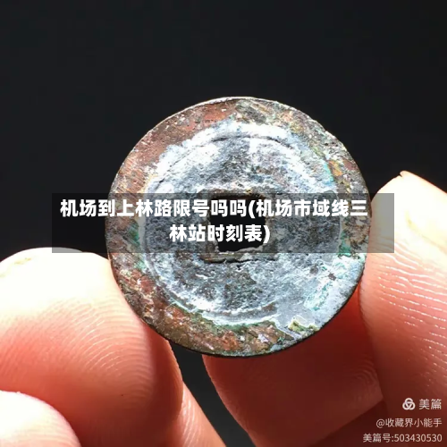 机场到上林路限号吗吗(机场市域线三林站时刻表)
