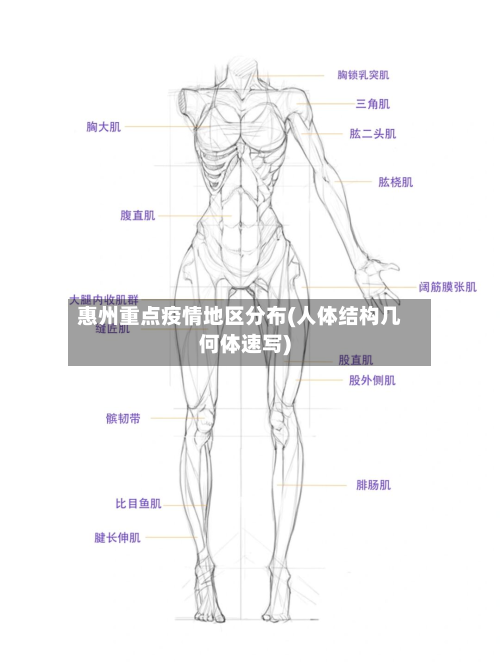 惠州重点疫情地区分布(人体结构几何体速写)-第2张图片