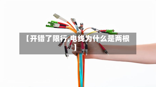 【开错了限行,电线为什么是两根】