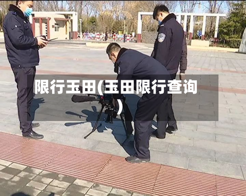 限行玉田(玉田限行查询)-第2张图片