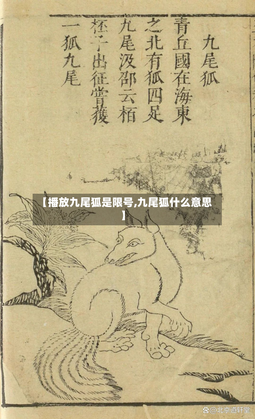 【播放九尾狐是限号,九尾狐什么意思】