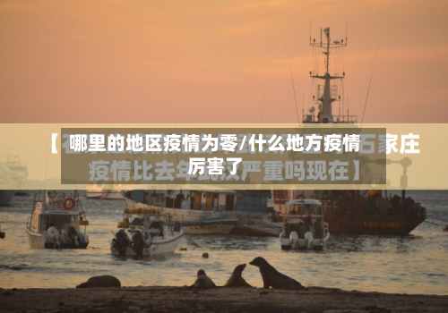 哪里的地区疫情为零/什么地方疫情厉害了