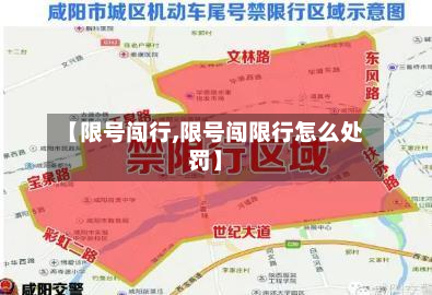 【限号闯行,限号闯限行怎么处罚】-第3张图片