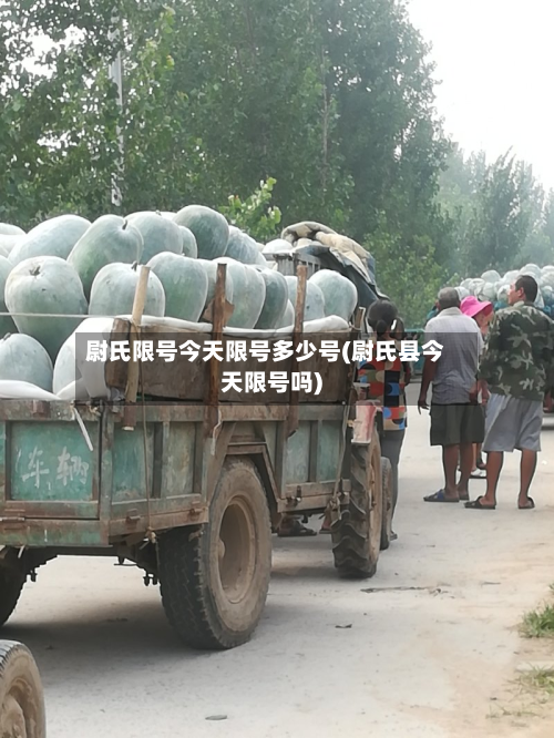 尉氏限号今天限号多少号(尉氏县今天限号吗)