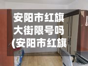 安阳市红旗大街限号吗(安阳市红旗大街限号吗今天)-第2张图片