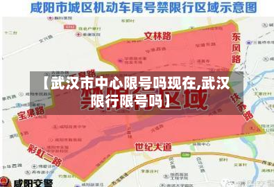 【武汉市中心限号吗现在,武汉限行限号吗】