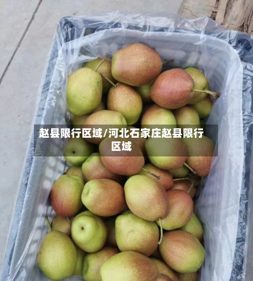 赵县限行区域/河北石家庄赵县限行区域-第2张图片