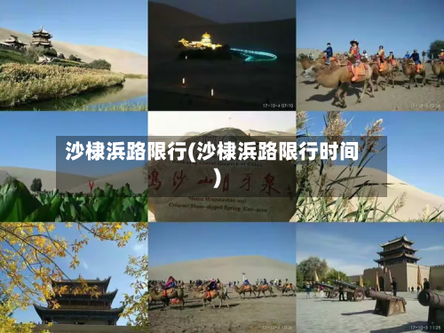 沙棣浜路限行(沙棣浜路限行时间)-第2张图片