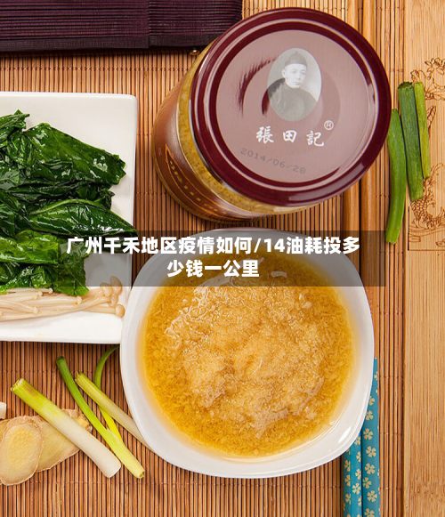 广州千禾地区疫情如何/14油耗投多少钱一公里-第2张图片