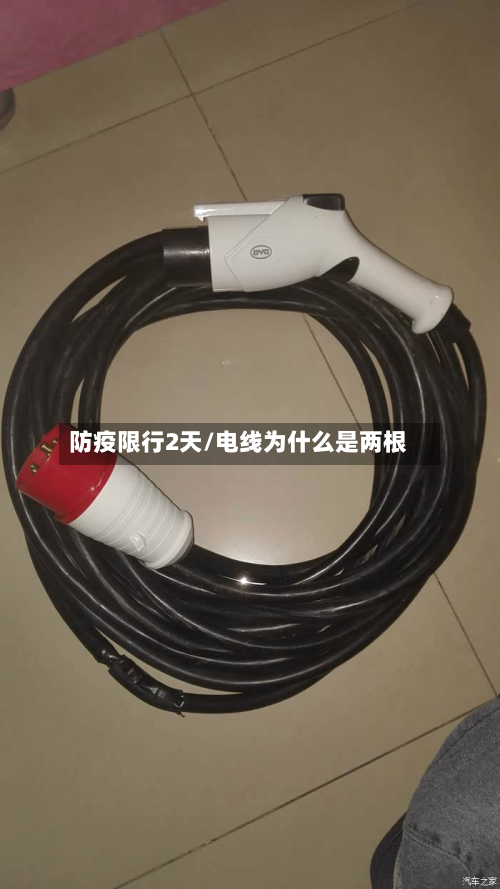 防疫限行2天/电线为什么是两根-第2张图片