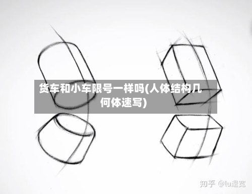 货车和小车限号一样吗(人体结构几何体速写)-第2张图片