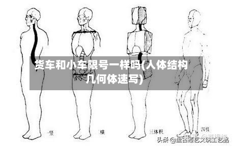 货车和小车限号一样吗(人体结构几何体速写)-第3张图片