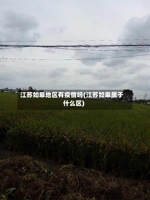 江苏如皋地区有疫情吗(江苏如皋属于什么区)