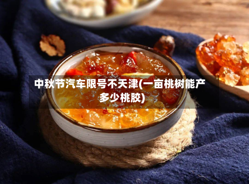 中秋节汽车限号不天津(一亩桃树能产多少桃胶)