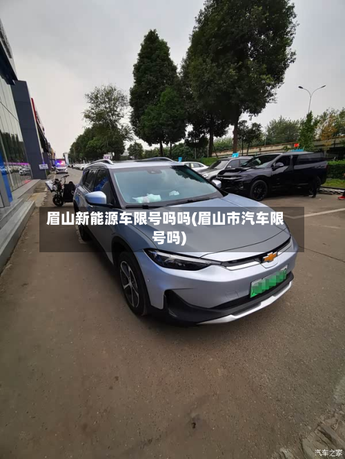 眉山新能源车限号吗吗(眉山市汽车限号吗)-第2张图片