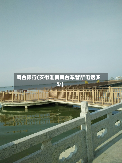 凤台限行(安徽淮南凤台车管所电话多少)