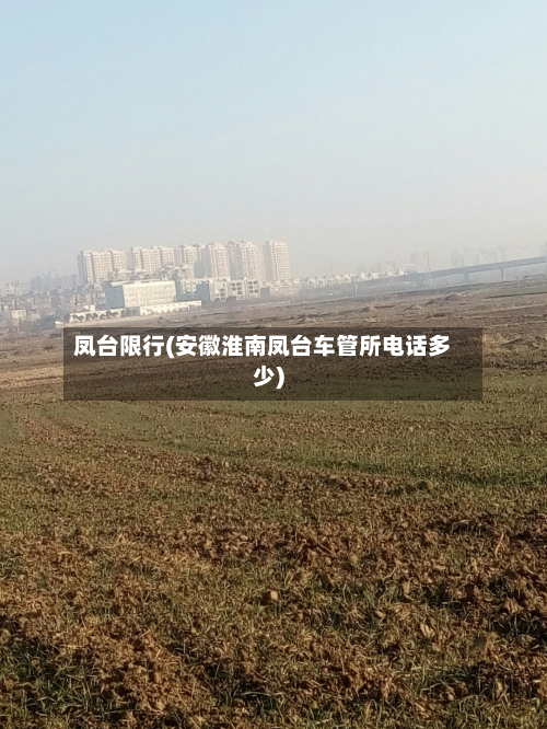 凤台限行(安徽淮南凤台车管所电话多少)-第2张图片