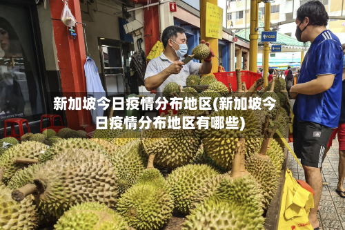 新加坡今日疫情分布地区(新加坡今日疫情分布地区有哪些)-第2张图片