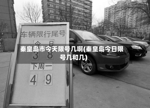 秦皇岛市今天限号几啊(秦皇岛今日限号几和几)