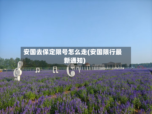 安国去保定限号怎么走(安国限行最新通知)-第2张图片