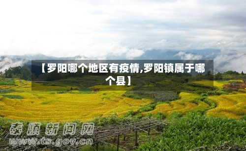 【罗阳哪个地区有疫情,罗阳镇属于哪个县】-第2张图片