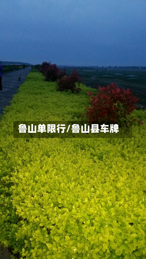 鲁山单限行/鲁山县车牌-第2张图片