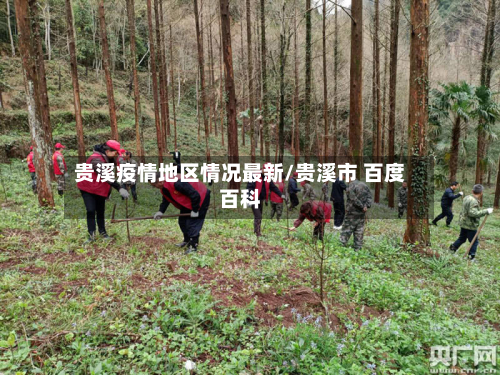 贵溪疫情地区情况最新/贵溪市 百度百科