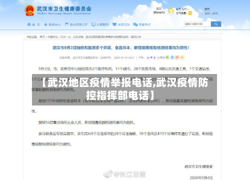 【武汉地区疫情举报电话,武汉疫情防控指挥部电话】-第2张图片