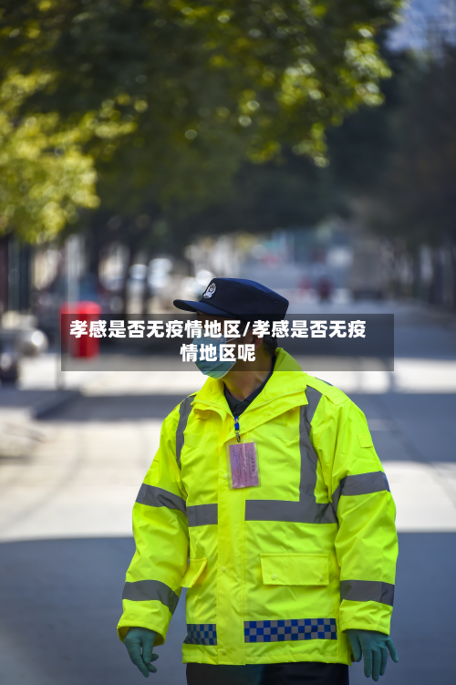 孝感是否无疫情地区/孝感是否无疫情地区呢