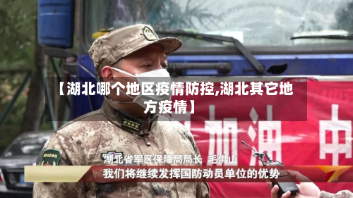 【湖北哪个地区疫情防控,湖北其它地方疫情】