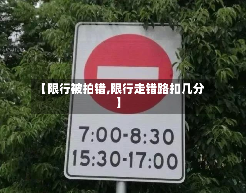 【限行被拍错,限行走错路扣几分】