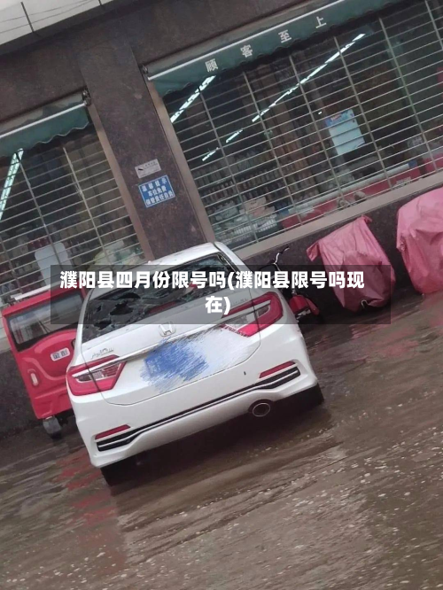 濮阳县四月份限号吗(濮阳县限号吗现在)-第2张图片