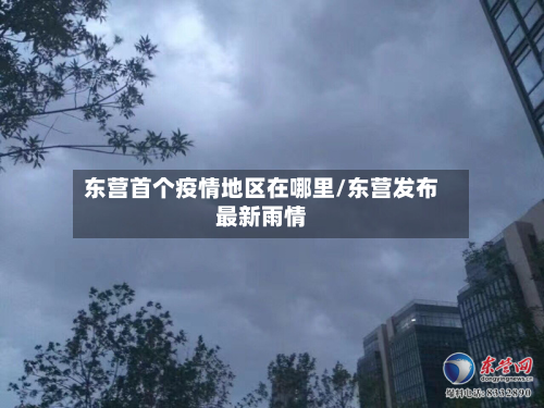 东营首个疫情地区在哪里/东营发布最新雨情-第2张图片