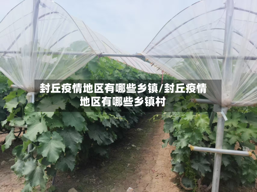 封丘疫情地区有哪些乡镇/封丘疫情地区有哪些乡镇村