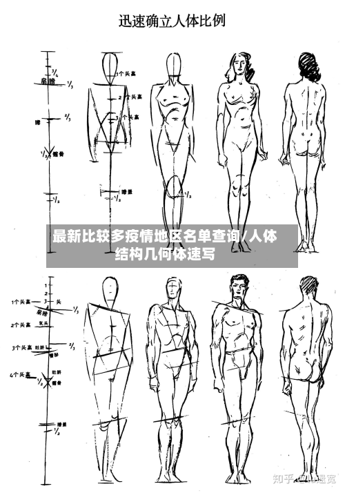 最新比较多疫情地区名单查询/人体结构几何体速写-第2张图片
