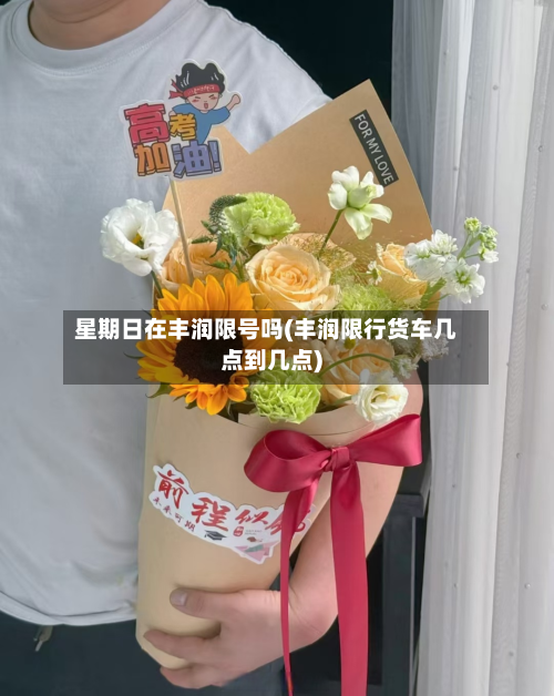 星期日在丰润限号吗(丰润限行货车几点到几点)-第2张图片