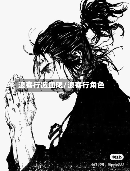 浪客行减血限/浪客行角色