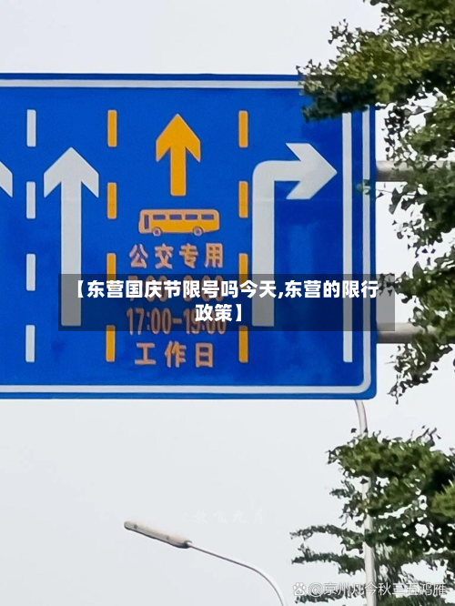 【东营国庆节限号吗今天,东营的限行政策】-第2张图片