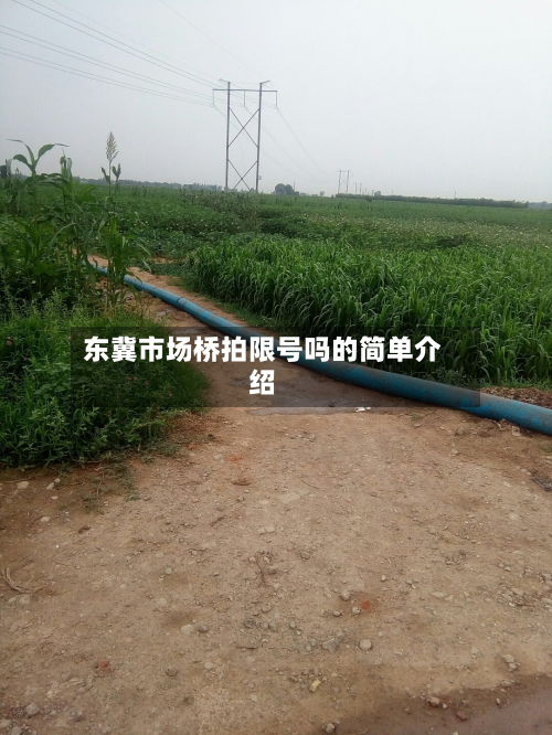 东冀市场桥拍限号吗的简单介绍-第2张图片