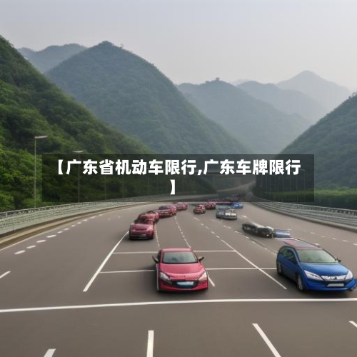 【广东省机动车限行,广东车牌限行】-第1张图片