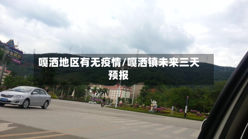 嘎洒地区有无疫情/嘎洒镇未来三天预报-第3张图片