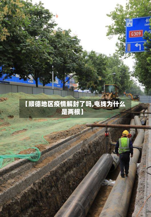 【顺德地区疫情解封了吗,电线为什么是两根】-第2张图片