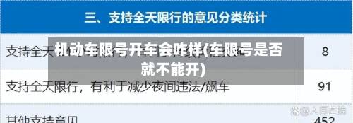 机动车限号开车会咋样(车限号是否就不能开)