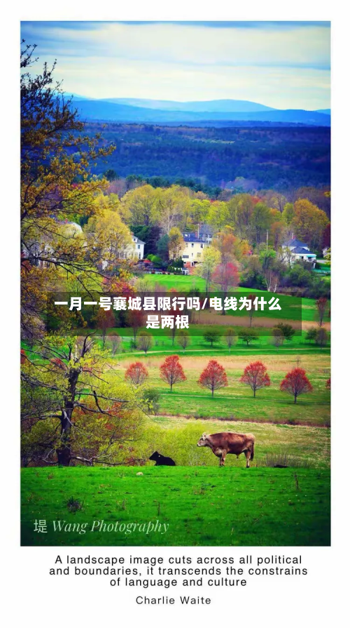 一月一号襄城县限行吗/电线为什么是两根