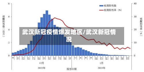 武汉新冠疫情爆发地区/武汉新冠情况-第2张图片