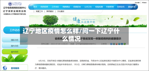 辽宁地区疫情怎么样/问一下辽宁什么情况-第2张图片