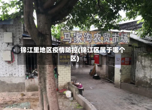 锦江里地区疫情防控(锦江区属于哪个区)