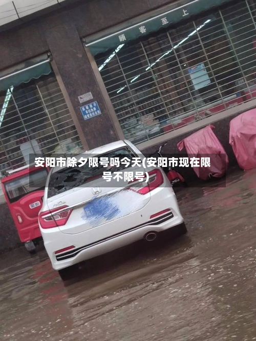安阳市除夕限号吗今天(安阳市现在限号不限号)-第2张图片